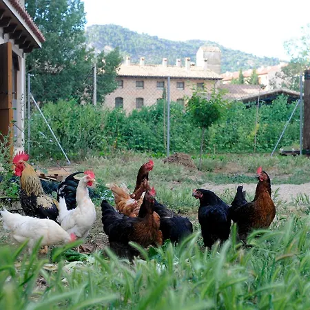 ホテル Font Del Pas