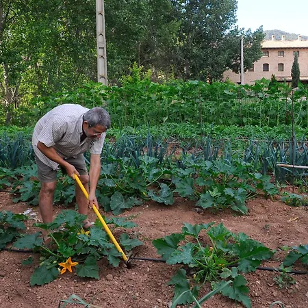 Font Del Pas ホテル