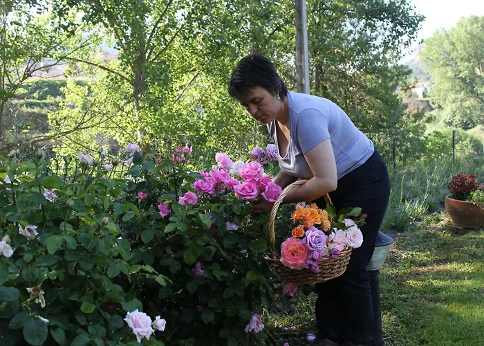 Font Del Pas Beceite